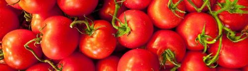 Tomatoes