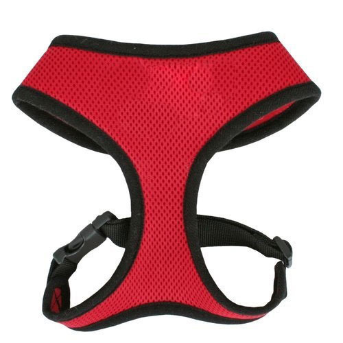 NPW Dog Harness, Color : Black, Red