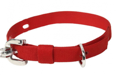 Kennel Furlon Collar (W = 3/4