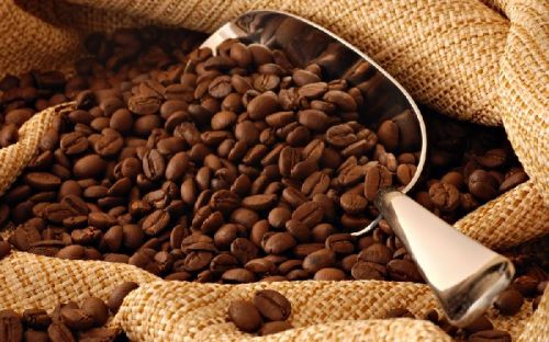 Organic Coffee Beans, For Beverage, Packaging Type : Aluminium Foil Bag