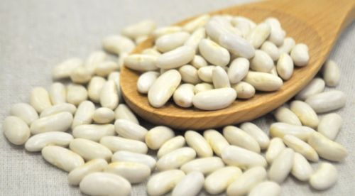 Organic White Kidney Beans, For Cooking, Style : Dried