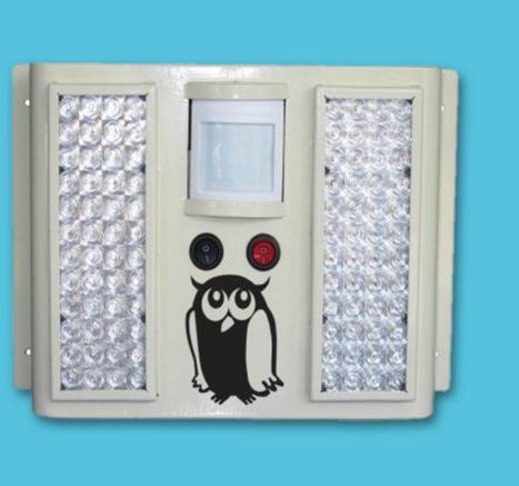 Anti-owl Flash Light