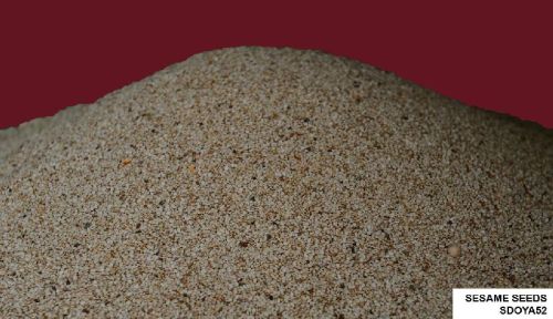 Dried Sesame Seeds, Usage/Application : Use In Cooking and Making Oil Oil