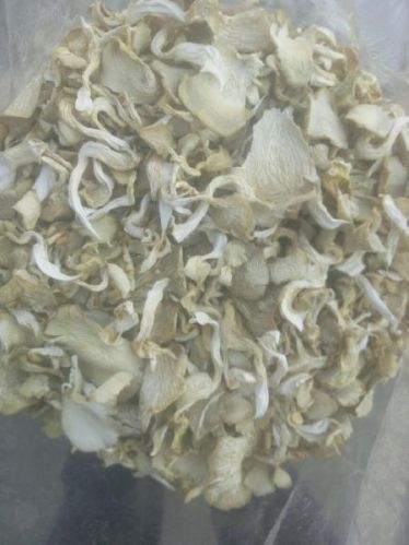 Dry Oyster Mushroom