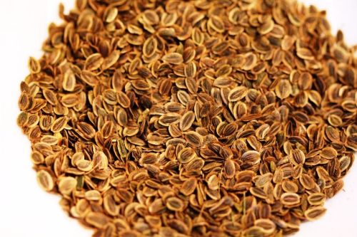 Dill Seed - Anethum Graveolens Seed