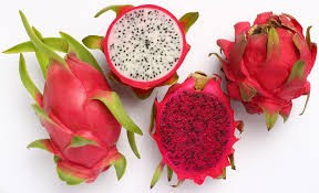 Fresh Dragon Fruit