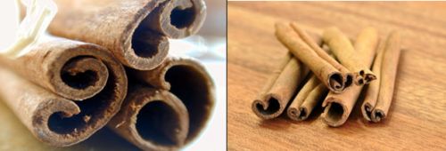 Cinnamon, Shelf Life : 1 Months