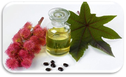 Commercial Grade Castor Oil