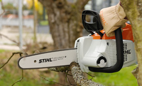 Cordless Chain Saws