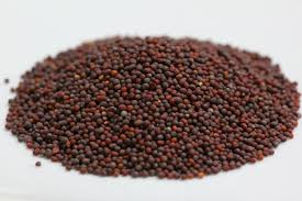 Mustard Seeds