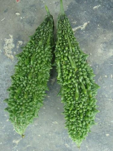 Kantedar Bitter Gourd Seeds