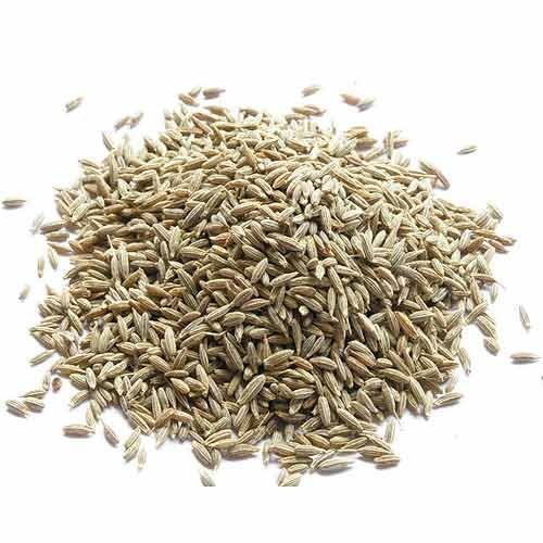 Shivaji Masala Organic Cumin Seeds, Color : Black, Light Brown