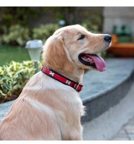 HUFT The London Style Red Black Dog Collar