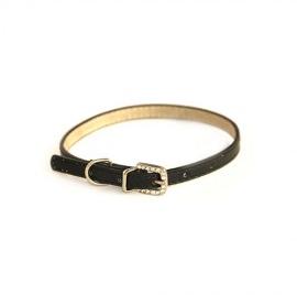 Puppy and Cat Black Collar