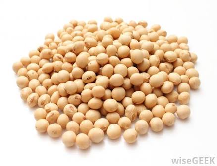 Common Organic Soybean Seeds, For Human Consumption, Style : Dried