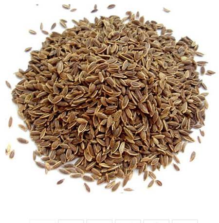 Organic Caraway Seeds For Spices, Cooking