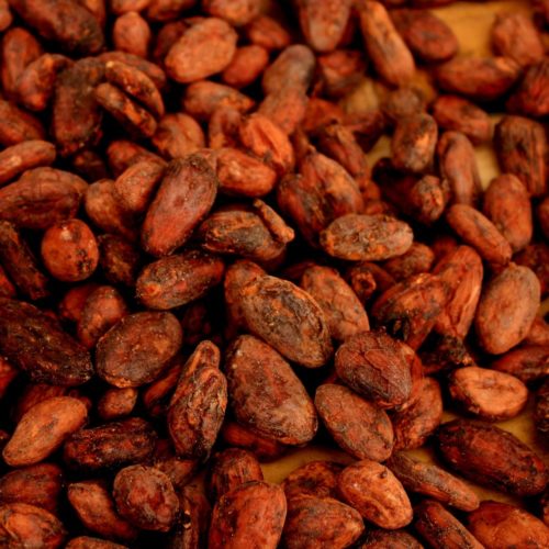 Unfermented Cacao Beans