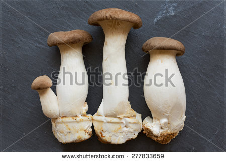 King Oyster Mushroom