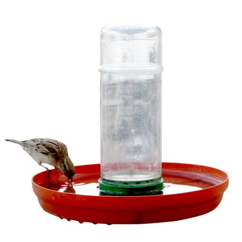 Water Feeder