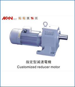 Customized Geared Motor