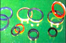 Oil Seals