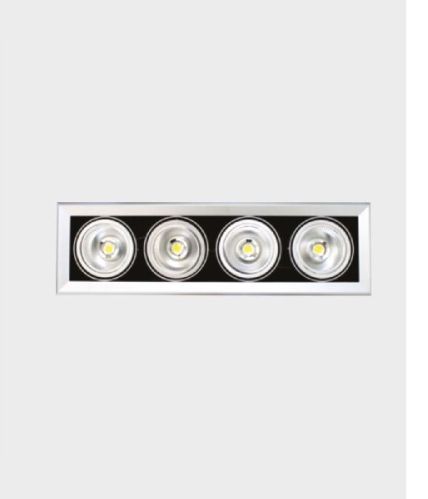 Indus D-Lite 40 W (Recess Down Light)