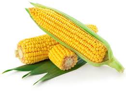 Yellow Maize