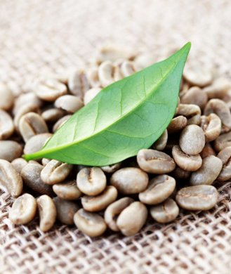 Green Coffee Bean Extract