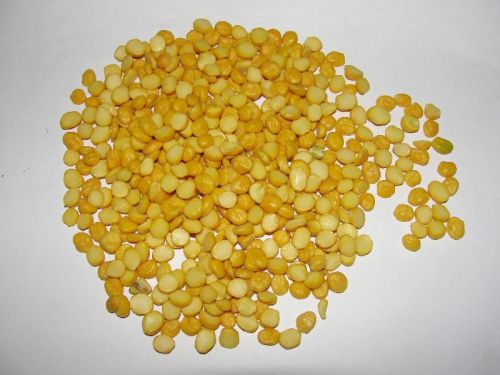 Toor dal, Packaging Type : Loose