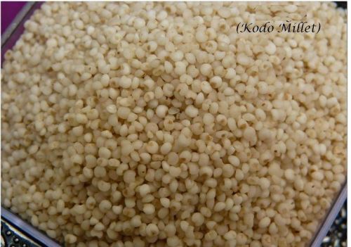 Kodo Millet Seeds