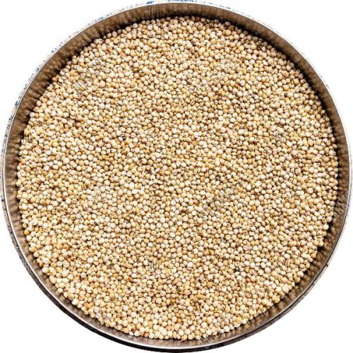 Sorghum Seeds, Purity : 90-98 %