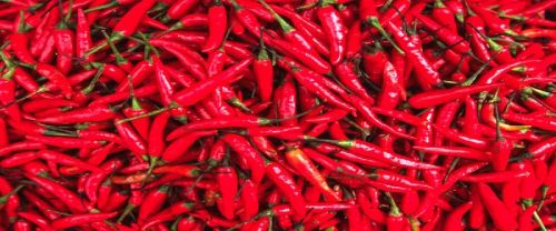 Red Chilli Sauce, Packaging : 80 Gm