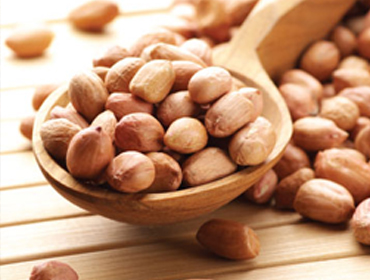 Peanut Kernels