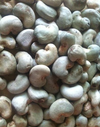 Raw Cashew Nuts, Packaging Type : White, Creamy
