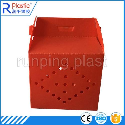 Corrugated Plastic Pizza Boxes