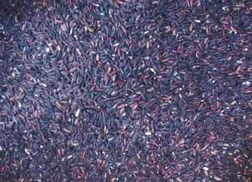 Black Rice, Feature : Organic