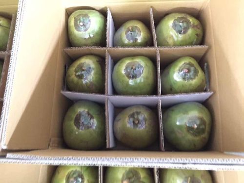 Fresh Young Coconut