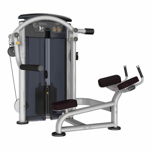 Commercial Glute Machine