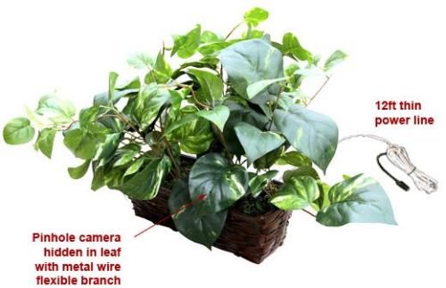 Spy Secret Hidden Fake Money Plant Camera