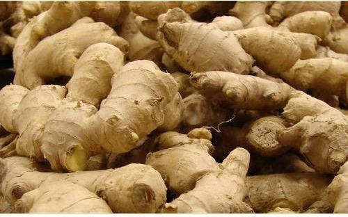 Fresh Natural Ginger