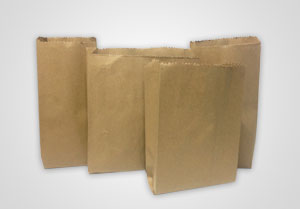 Grocery Paper Carry Bags