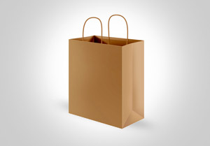 Recycled Paper Bags