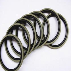 Piston Seal Kit