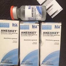 Anesket injection