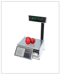 Retail System Scale