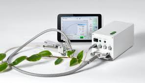 Chlorophyll Fluorometer