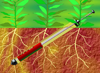 Root Scanner For Root Growth Monitoring System CI-600 (Non-destructive / In-situ)