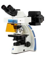 Fluorescence Microscopes