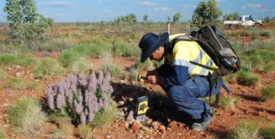 Portable XRF Analyser