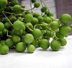 Indian Green Berries